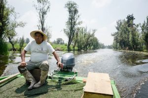 Culinary Backstreets: Xochimilco, Keeping Mexico City’s Agricultural Treasure Afloat